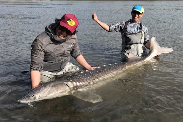 リアル川のヌシ釣り！最大の超巨大怪魚“シロチョウザメ”の引きの強さが想定外すぎた | TSURI HACK[釣りハック]