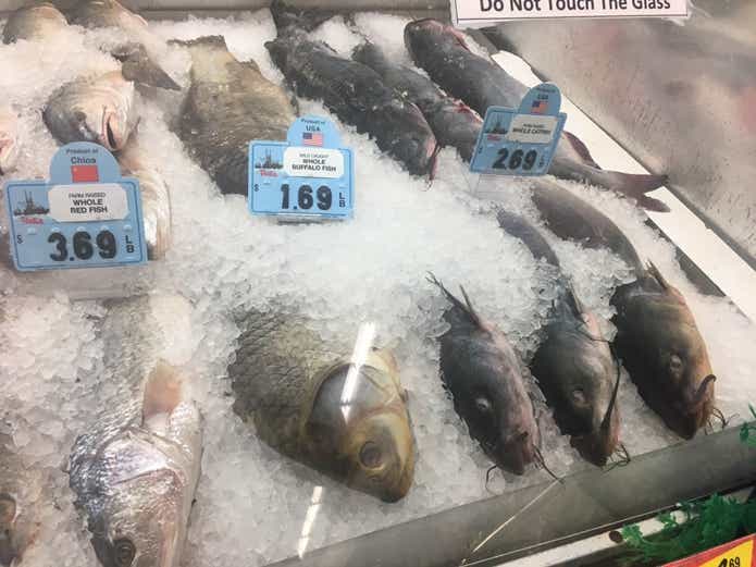 鮮魚売り場のアメリカナマズ