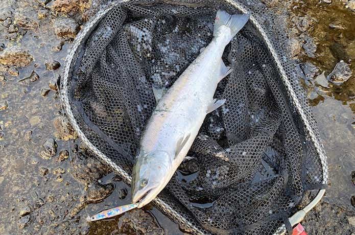自作ジグの釣果