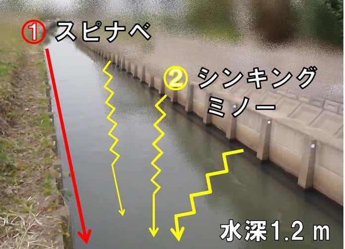水路でのナマズの狙い方