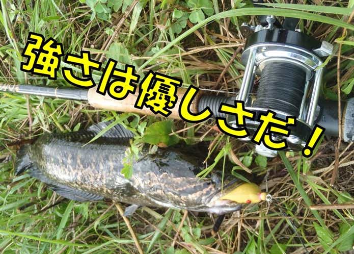 雷魚　タックル