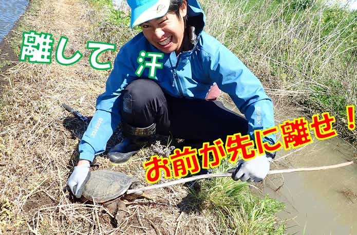 カミツキガメ　噛まれたら