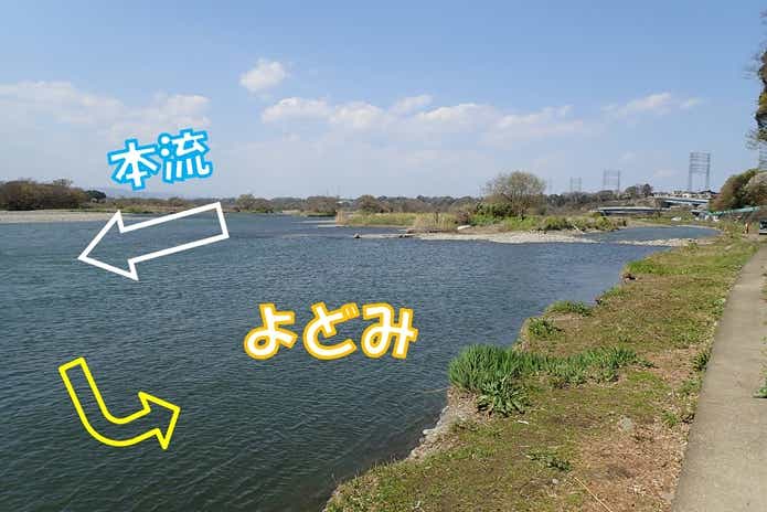 夏から秋　ユーロカープ　ポイント
