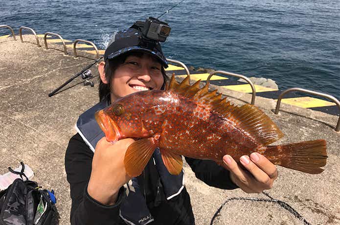5年間使用したエギングロッド！エメラルダスMX83Mの実釣インプレ