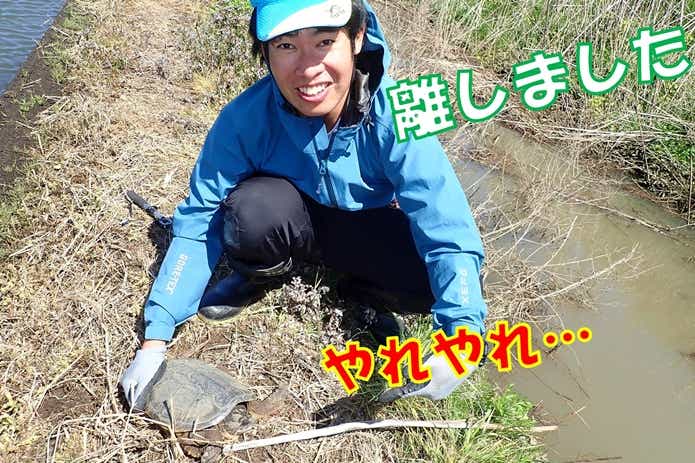 カミツキガメ