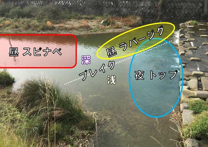 ナマズの狙い方