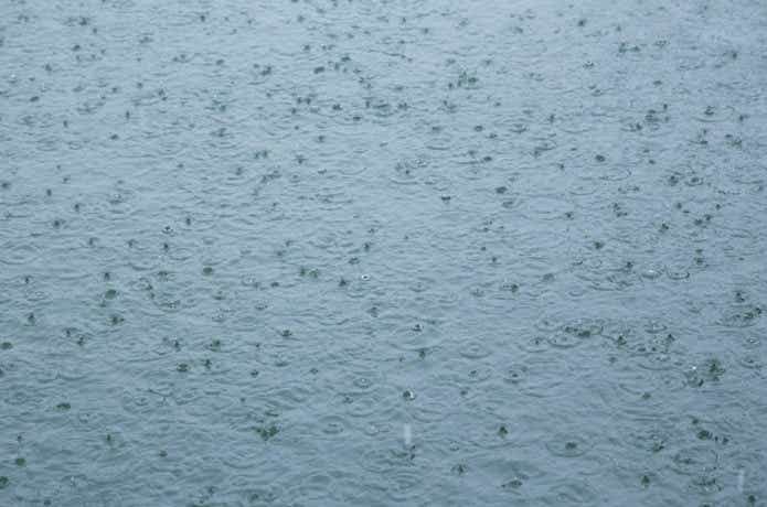 雨