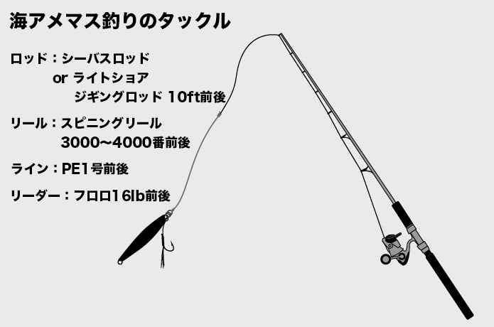 海アメタックル