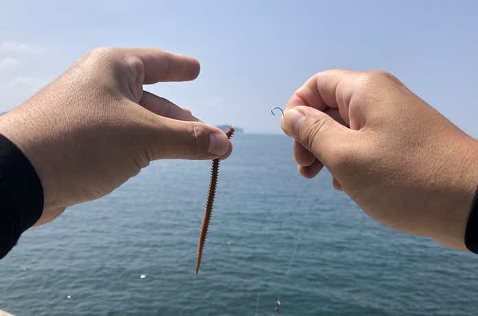 ルアーでキスを釣る方法！ワームのシロギス狙いは手軽でオススメ
