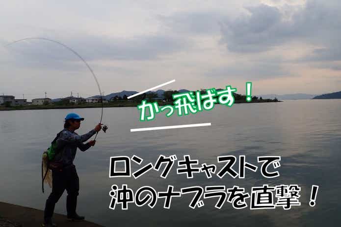 ハス釣りのコツ