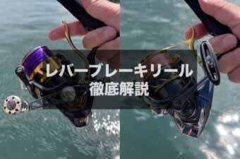 専用】ダイワDaiwa 電動リール SEABORG800MJ（専用】ダイワDaiwa