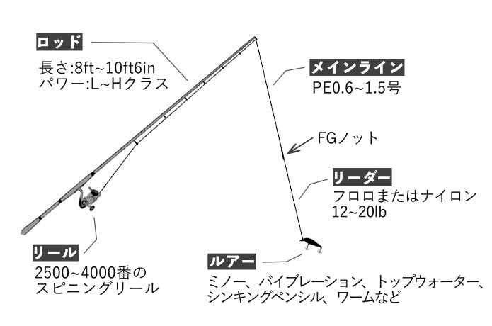 シーバスタックルの選び方を解説！初心者がまず揃えるべきおすすめアイテムとは？ | TSURI HACK[釣りハック]