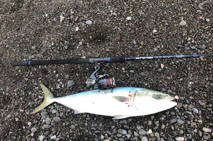 5人の釣りキチたちのライトショアジギングタックルを大公開