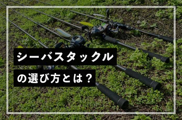 シーバスタックルの選び方を解説！初心者が揃えるべきおすすめアイテムもご紹介します