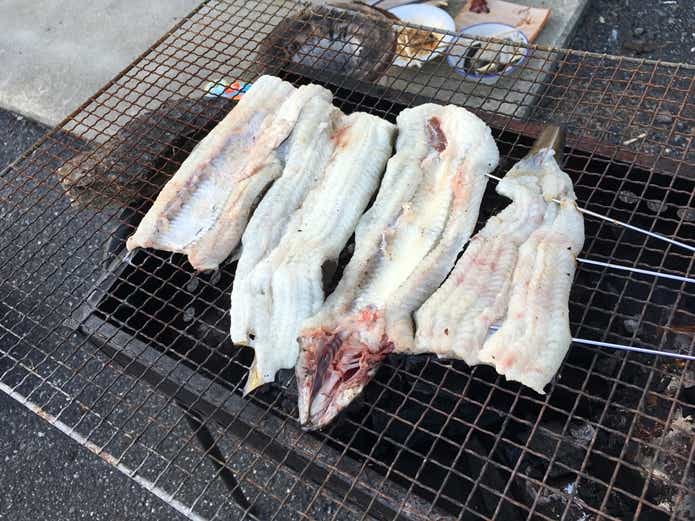 釣ったうなぎ　蒲焼