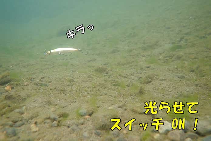 オヤニラミ　ハードルアー
