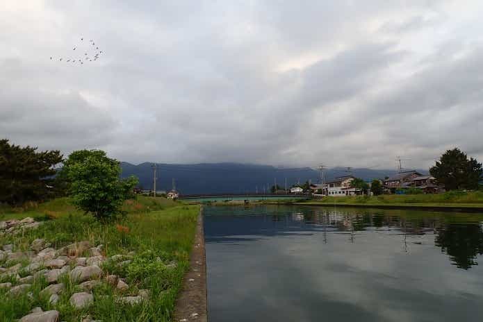 ハス　流入河川