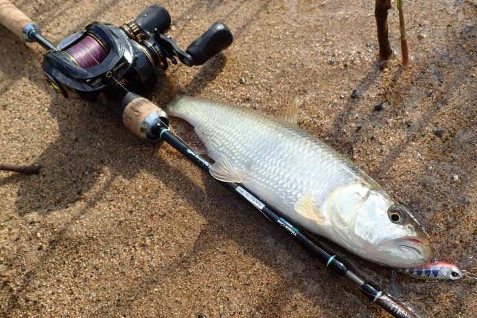 ハス釣り　タックル