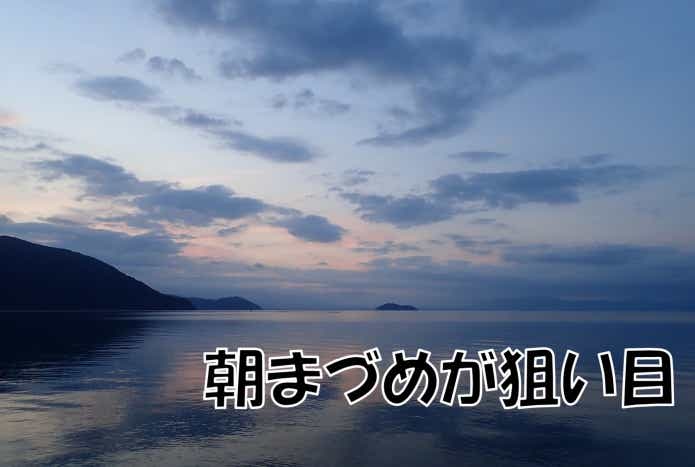 ハス釣り　時間