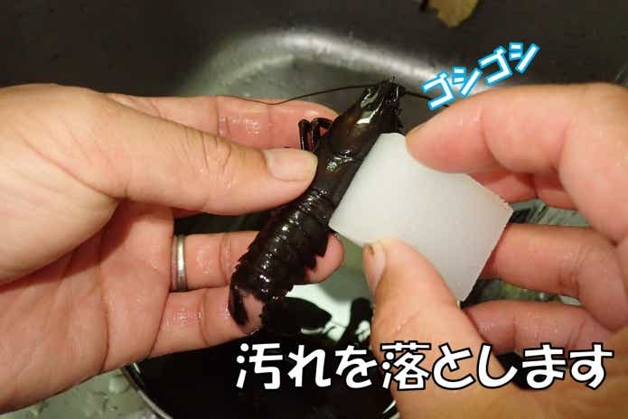 ウチダザリガニ　下処理