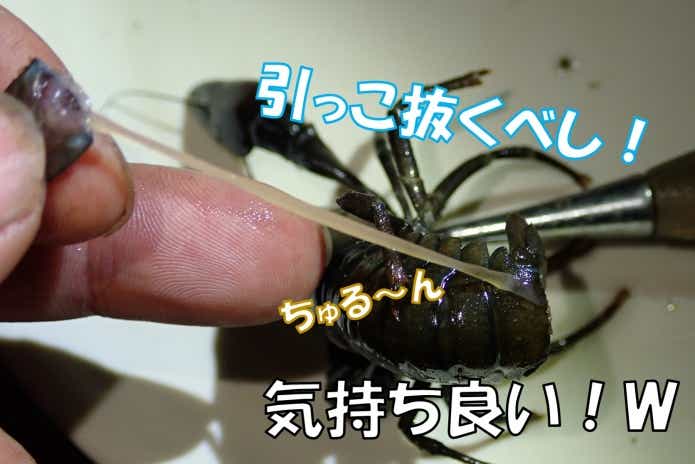 ウチダザリガニ　ワタ処理