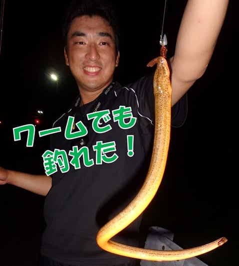 タウナギ　ルアー
