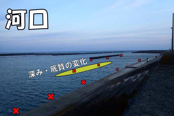 うなぎ釣り　河口域