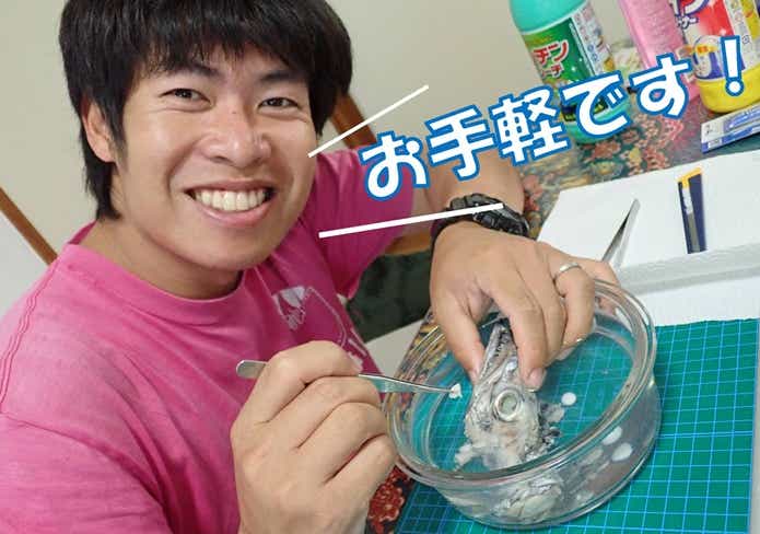 簡単＆手軽】魚の骨格標本の作り方をおしえます。家にあるものでできちゃいます！ | TSURI HACK[釣りハック]