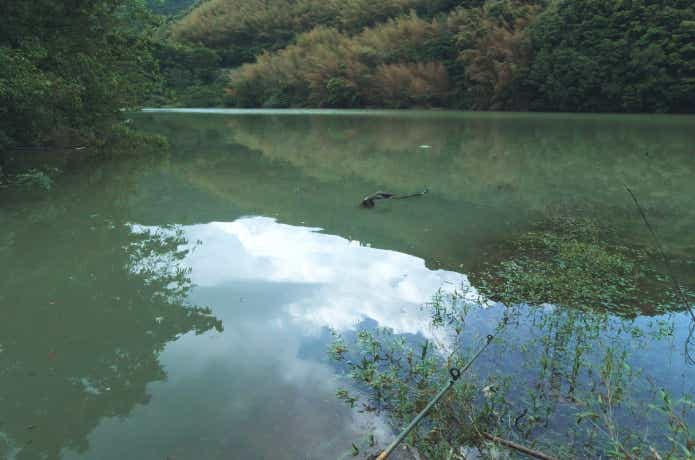 野池
