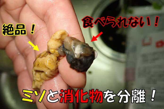 ウチダザリガニ　調理