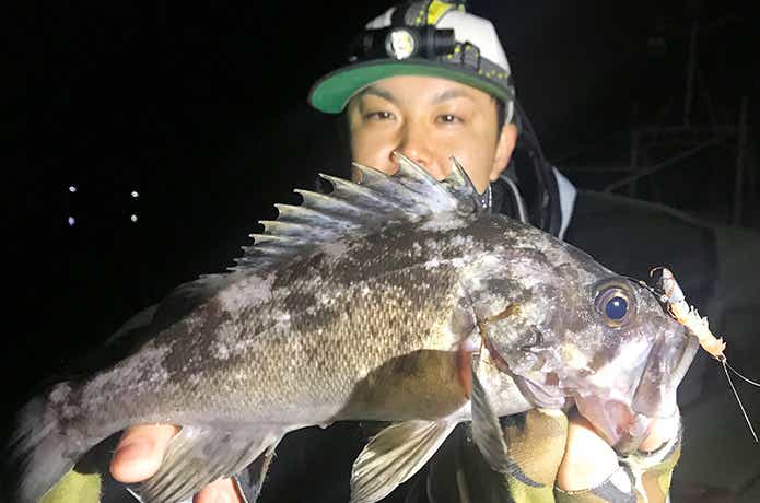 DAIWA 快適リアルオキアミワーム