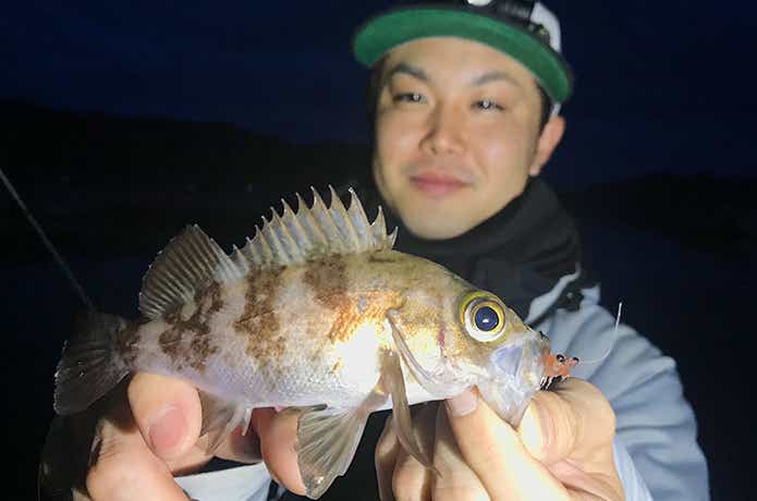 DAIWA 快適リアルオキアミワーム