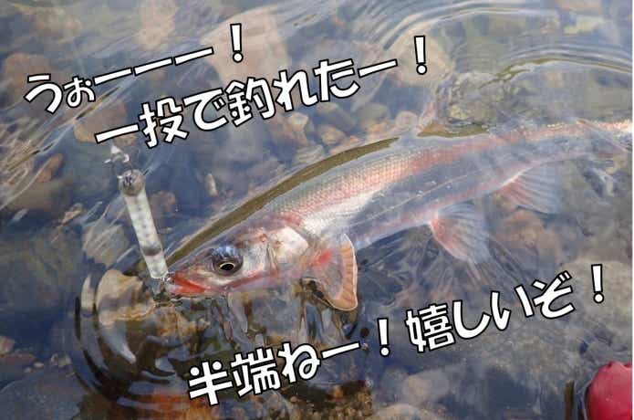 100均　自作ルアー　テスト　ウグイ