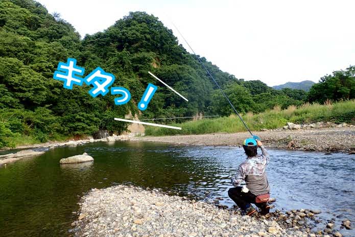 オイカワ 釣り