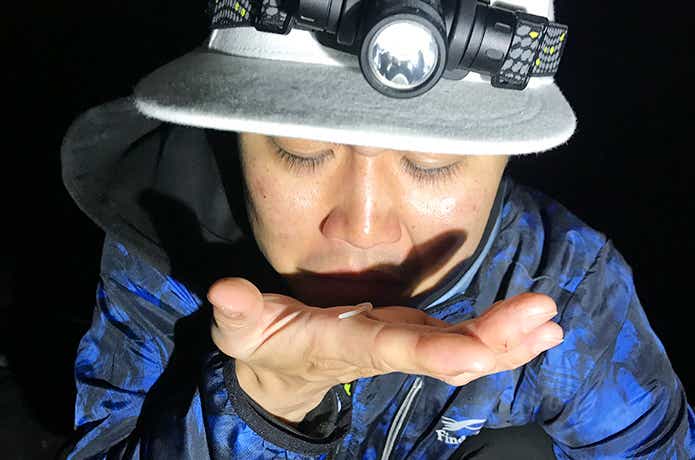 ガルプ液って本当に効果あるの!?実際に釣り比べた結果がコチラ ガルプ液って本当に効果あるの!?実際に釣り比べた結果がコチラ