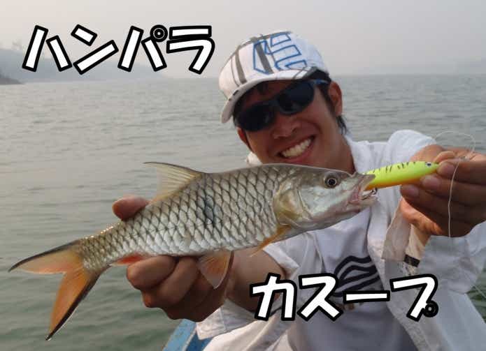 ハンパラカスープ
