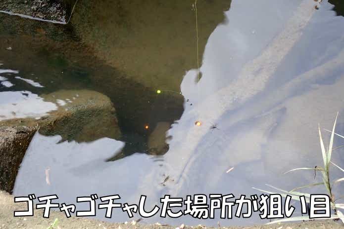 テナガエビ釣りのポイント
