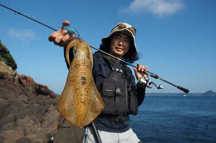 夏エギング　おすすめ　エギ