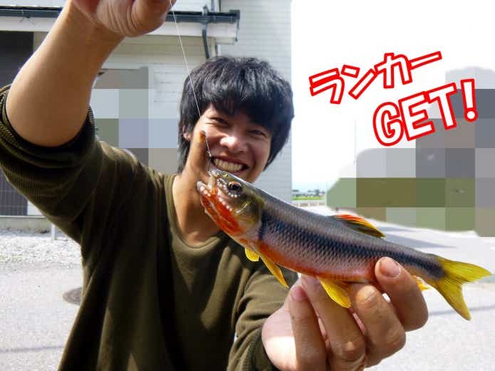 カワムツ　ルアーフィッシング