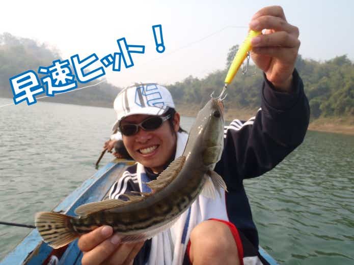 トップで釣った トーマン