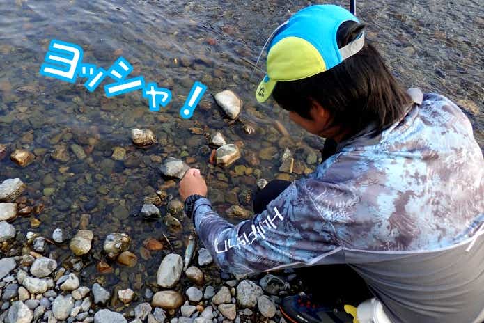 オイカワ 釣り　オス