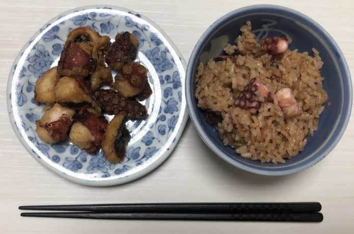 タコの画像