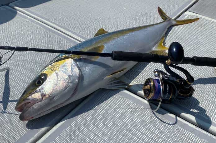 DAIWA（釣り） ダイワ 10ソルティガ 4500H/F419M ヒラマサ