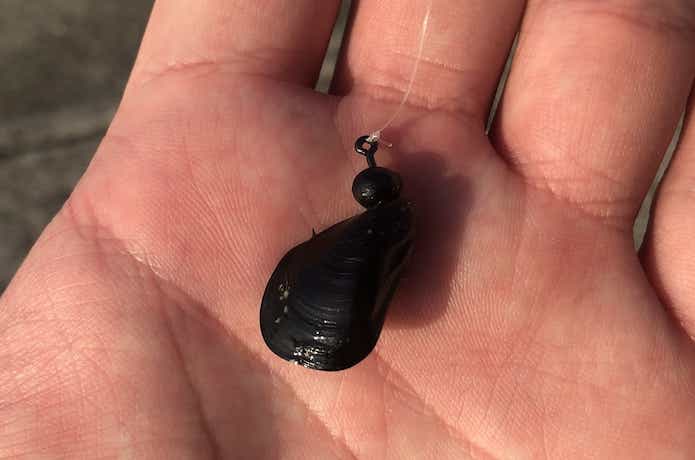 ヘチ釣りの画像
