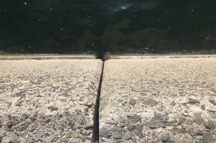 ヘチ釣りの画像