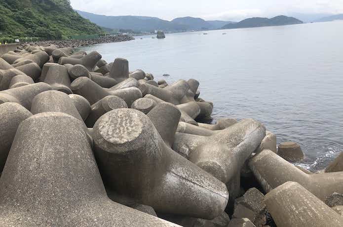 エビ撒き釣りの画像