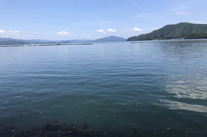 エビ撒き釣りの画像