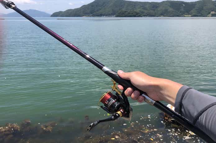 エビ撒き釣りの画像