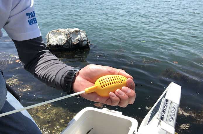 最強釣法】元釣具屋が「エビ撒き釣り」をわかりやすく解説！仕掛け