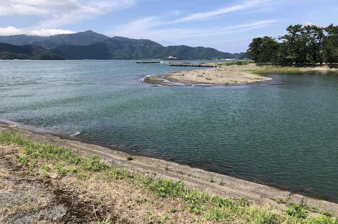 エビ撒き釣りの画像